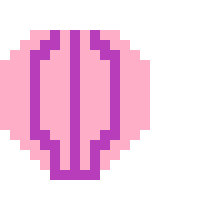 Pink Shell